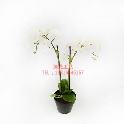 東莞廠家直銷，優質仿真盆栽裝飾，定制您的理想塑料植物盆景